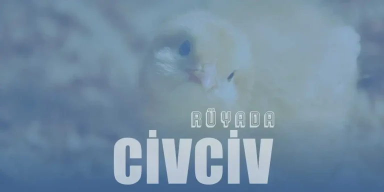 Rüyada Civciv