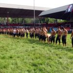 Kırkpınar Yağlı Güreşleri'nde İkinci Gün